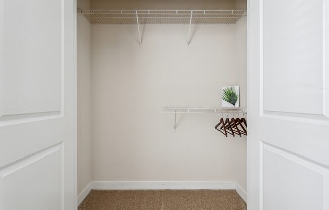 a closet with white walls and a shelf with a plant in it