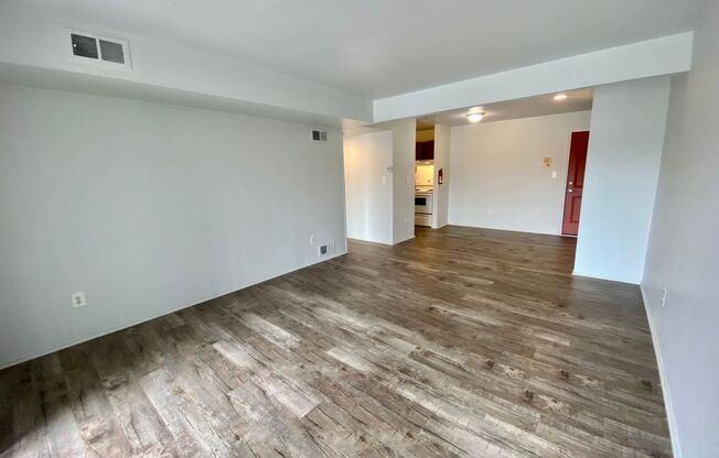 1 bed, 1 bath, 700 sqft, $1,095, Unit #302