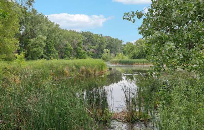 A serene landscape with a body of water surrounded by lush greenery.