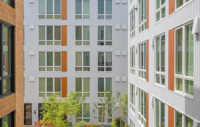 a courtyard with trees and plants in front of a building