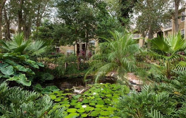 Pond Surrounded by Natural View at Enclave at Lake Underhill, Florida