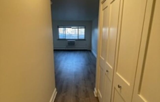 Studio, 1 bath, 475 sqft, $1,250, Unit 401