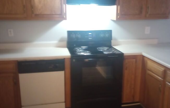 3 beds, 2 baths, $1,000