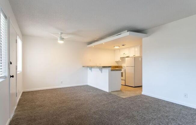 1 bed, 1 bath, 500 sqft, $1,550, Unit B