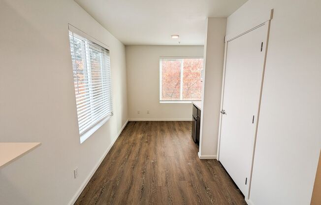 Studio, 1 bath, 186 sqft, $1,375, Unit 501