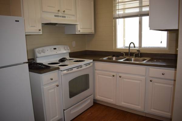 1 bed, 1 bath, 600 sqft, $1,300