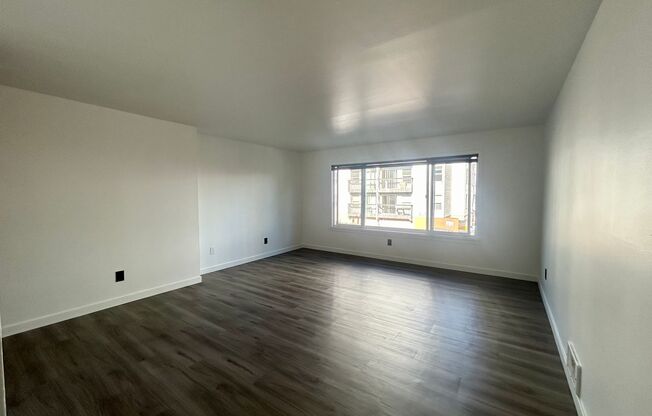 Studio, 1 bath, 464 sqft, $1,425, Unit 206