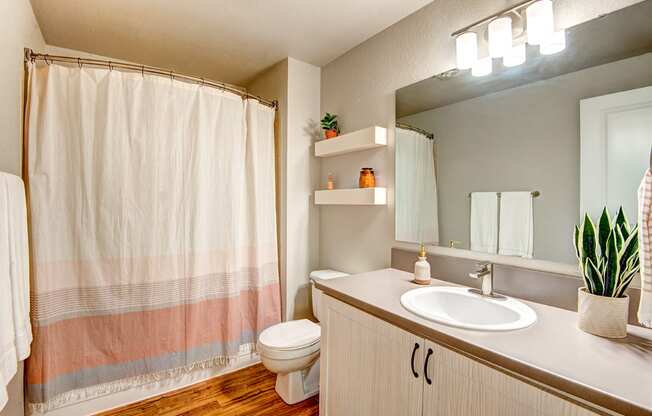 Everett Apartments-  The Lynx Bathroom