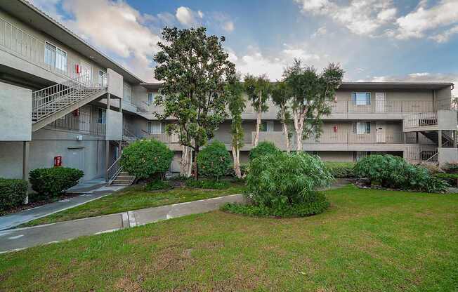 A tree in a grassy area in front of apartment buildings.