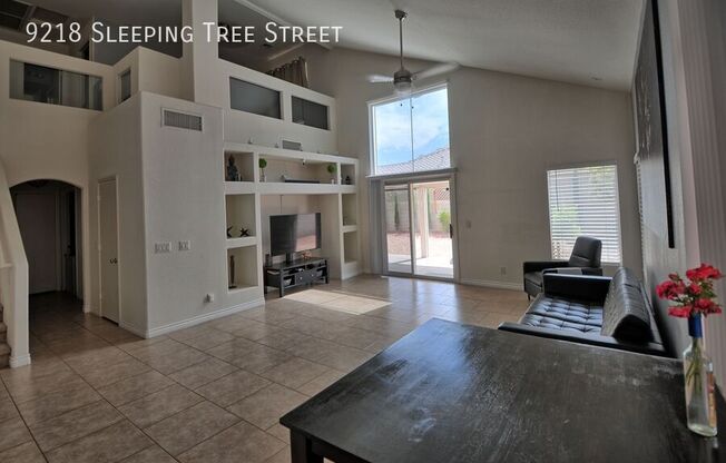 9218 Sleeping Tree Street