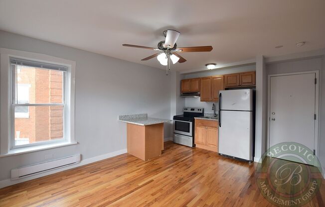 Studio, 1 bath, 250 sqft, $1,250, Unit 7450-37
