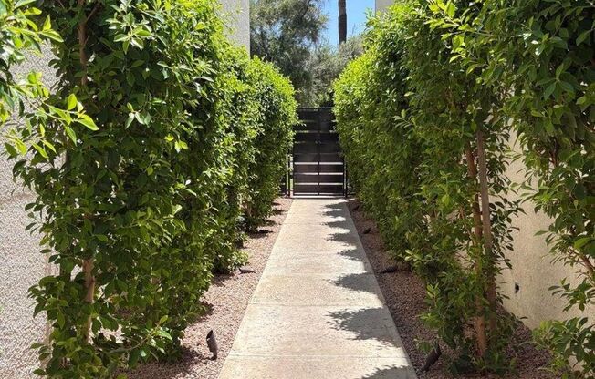 1 bed, 1 bath, $1,195, Unit MV C 8