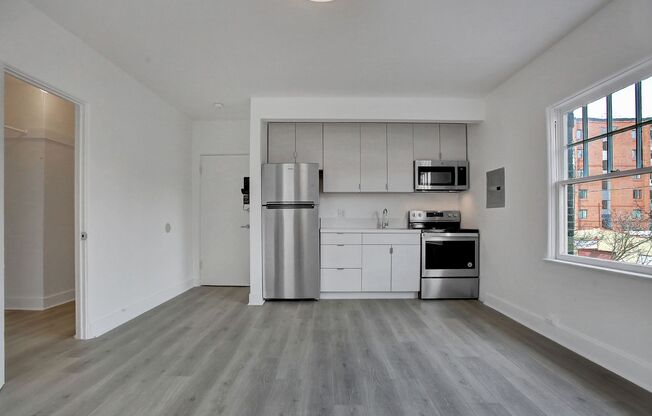 Studio, 1 bath, 235 sqft, $1,095, Unit 203