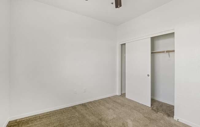 A room with a carpeted floor and a ceiling fan.