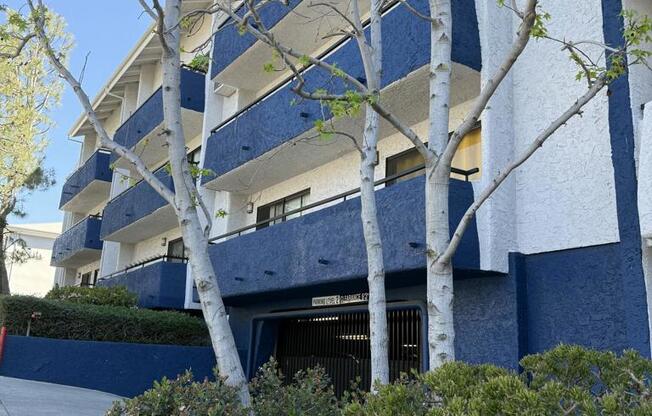 1 bed, 1 bath, 663 sqft, $3,000, Unit 556