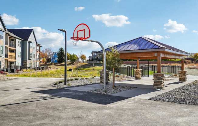 the basketball court at the preserve at ballantyne commons apartments