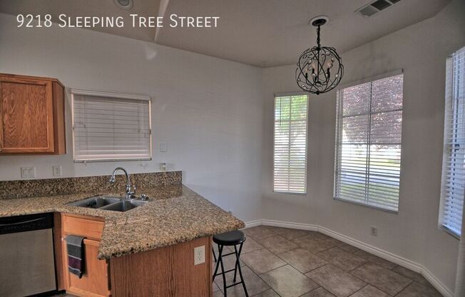 9218 Sleeping Tree Street
