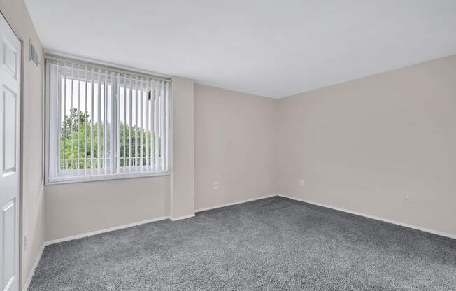 an empty living room with a window and carpet