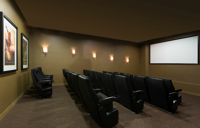 Theatre Room