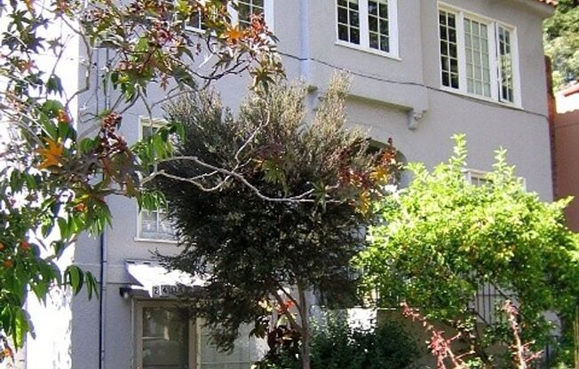 Fully Updated Studio ~Great Location near Campus~ North-Side Berkeley