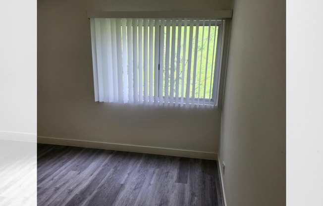 1 bed, 1 bath, 908 sqft, $2,450, Unit 307