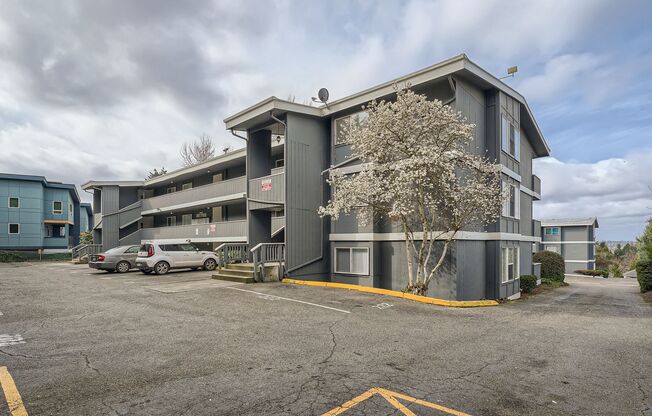 1 bed, 1 bath, 830 sqft, $1,695, Unit Unit 226