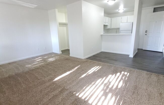 Studio, 1 bath, 490 sqft, $1,115, Unit 3440-89