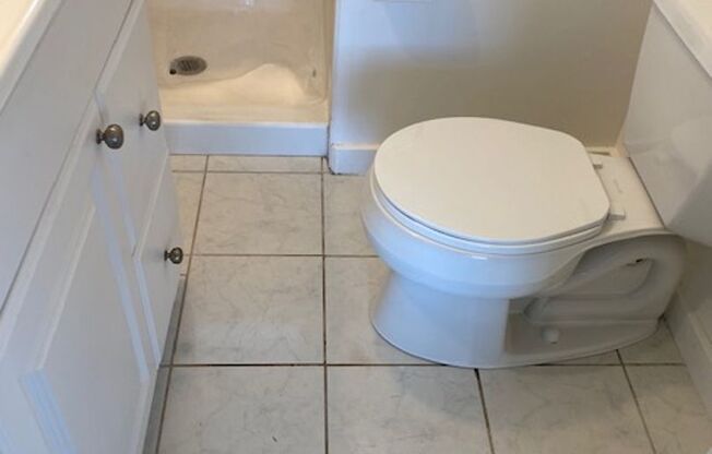 Studio, 1 bath, $1,250