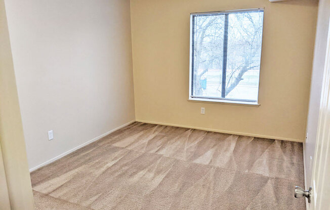 Plush Carpeting at Swiss Valley Apartments, Wyoming