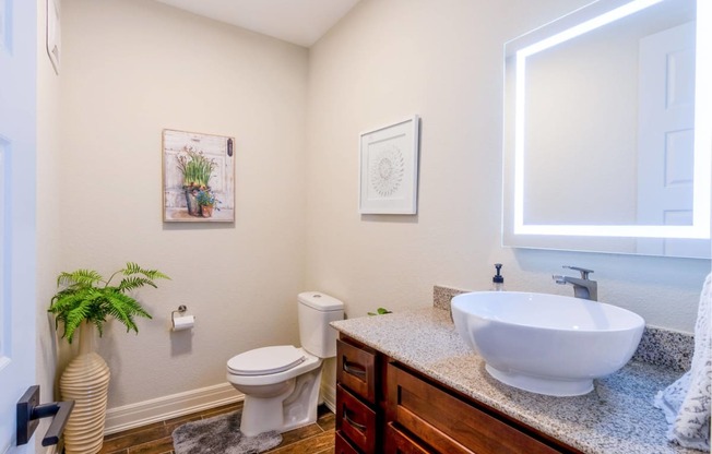 a bathroom with a sink and a toilet