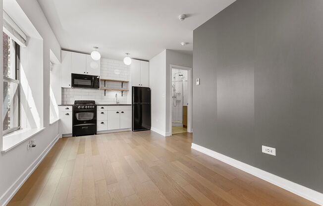 Studio, 1 bath, 245 sqft, $1,475, Unit 411