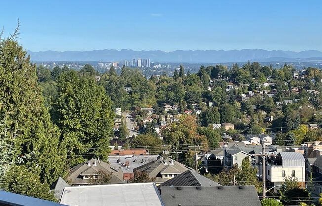 Studio, 1 bath, 325 sqft, $1,405, Unit 203