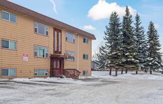 Mellen LO - Lake Otis 5300