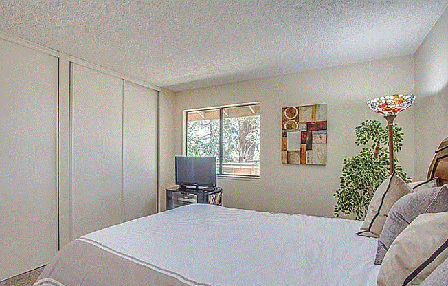 3198 KIMBER CT