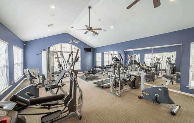 the gym in the owners suite is equipped with cardio equipment and weights
