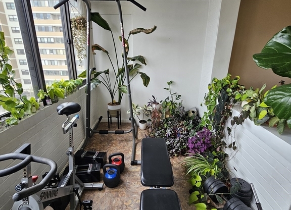 1 bed, 1 bath, 833 sqft, $3,150, Unit 5A