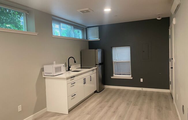 Studio, 1 bath, 250 sqft, $1,095, Unit 102