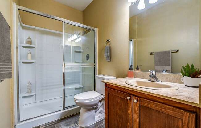 A bathroom with a toilet, sink, and shower.