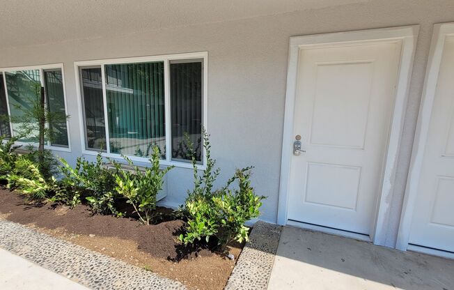 1 bed, 1 bath, 515 sqft, $1,950, Unit 11