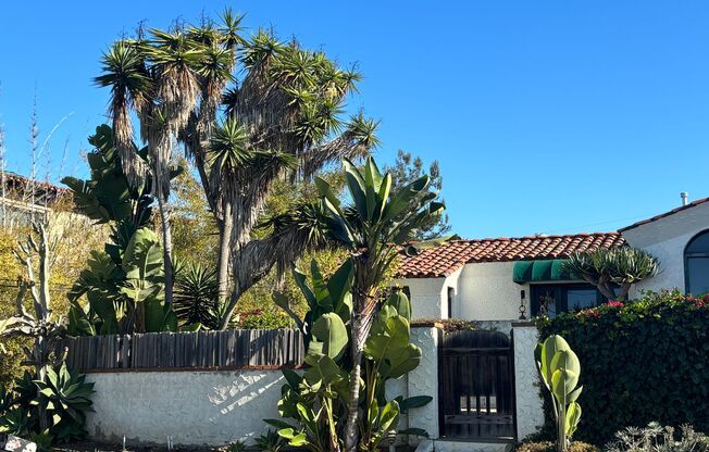 Lovely home with Ocean view with bonus granny flat