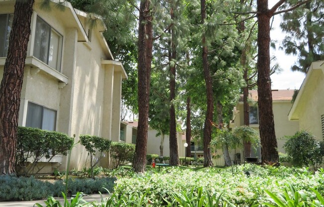 Studio, 1 bath, 475 sqft, $1,995, Unit F110