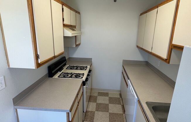 Studio, 1 bath, 400 sqft, $750, Unit 406