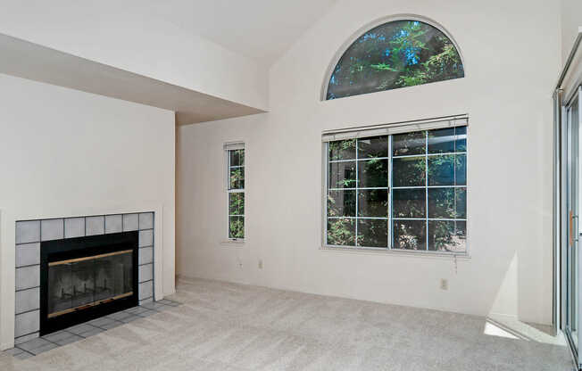 Carpeted Living Room with Fireplace