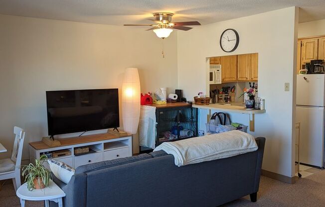 Studio, 1 bath, 431 sqft, $2,600, Unit 1503