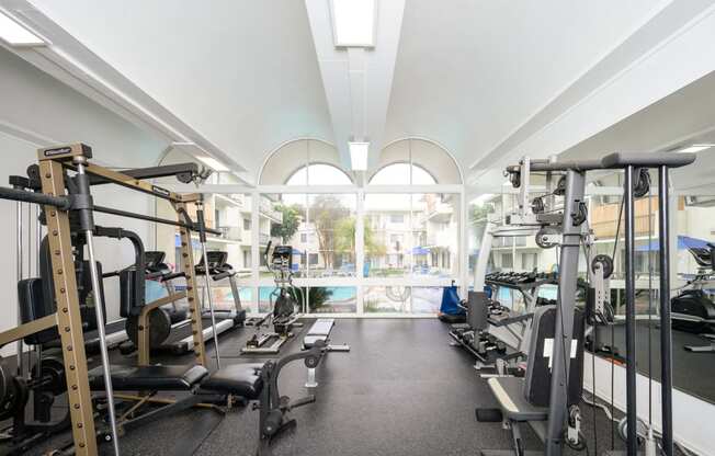 a gym with weights and cardio machines and a pool