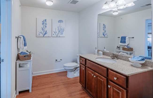 A bathroom with a toilet, sink, and mirror.