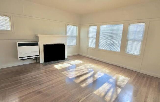 Beautiful, spacious 1-bdr with new windows, great wood floors, and lots of storage space