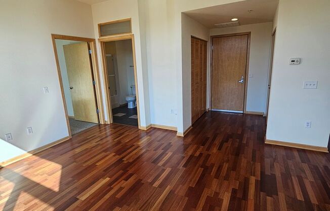 1 bed, 1 bath, 729 sqft, $1,800, Unit 411