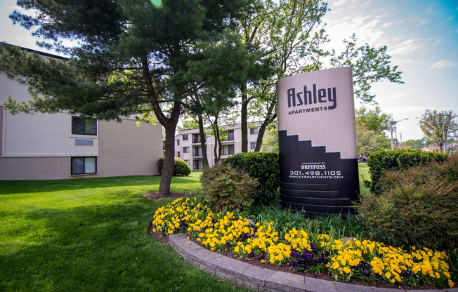 Ashley Apartments Main Signage Photo 2