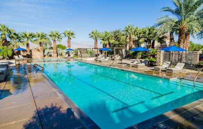 Mediterra Apartment Homes Lifestyle - Pool